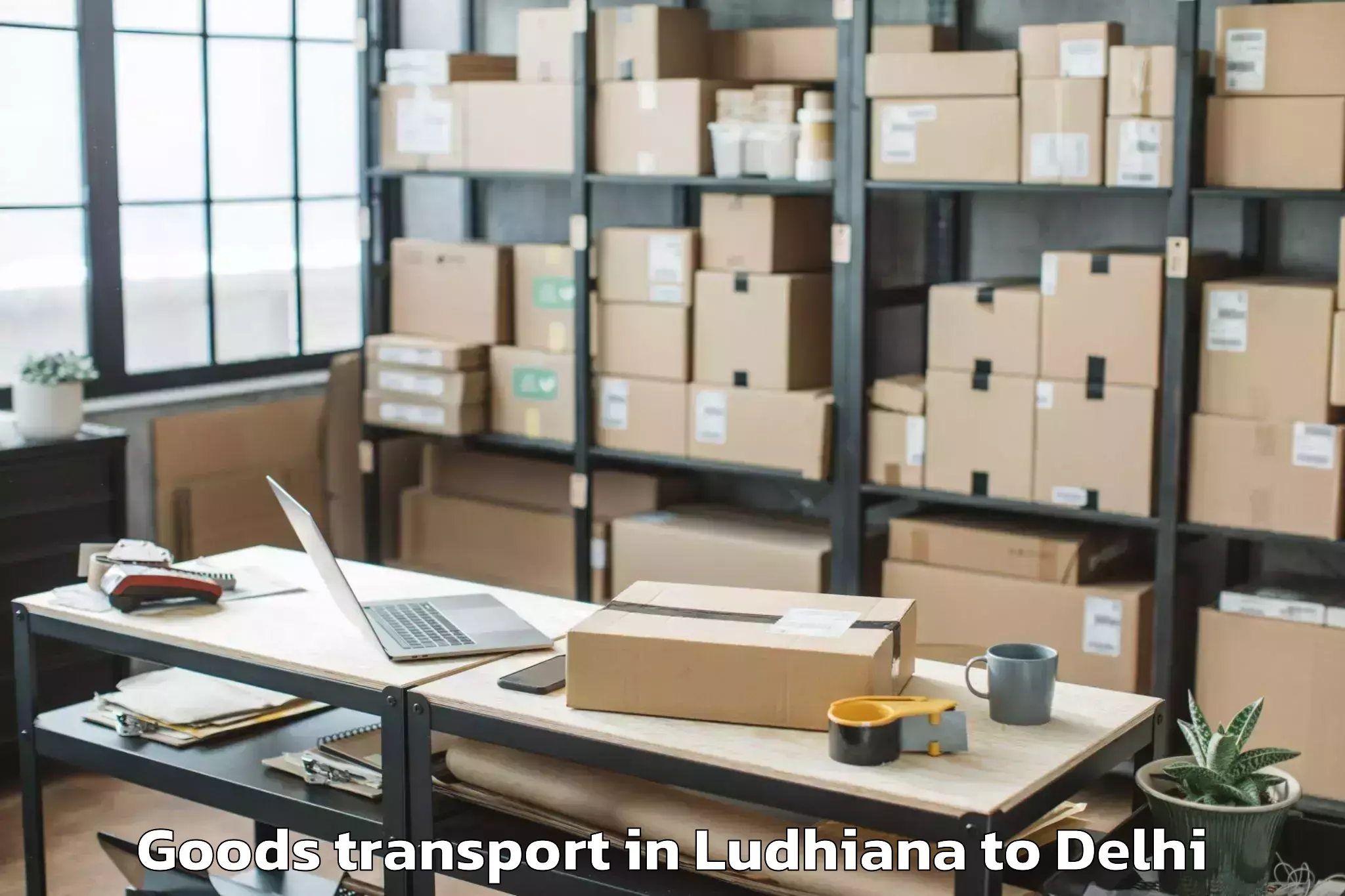 Professional Ludhiana to Delhi Airport Del Goods Transport